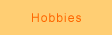 Hobbies